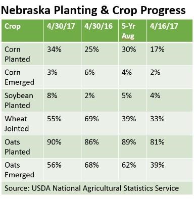USDA NASS: Nebraska Corn Stocks Up 7%; Soybean Down 3%